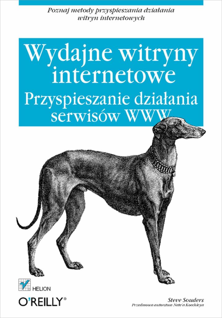 Wydajne witryny internetowe. Przyspieszanie działania serwisów WWW