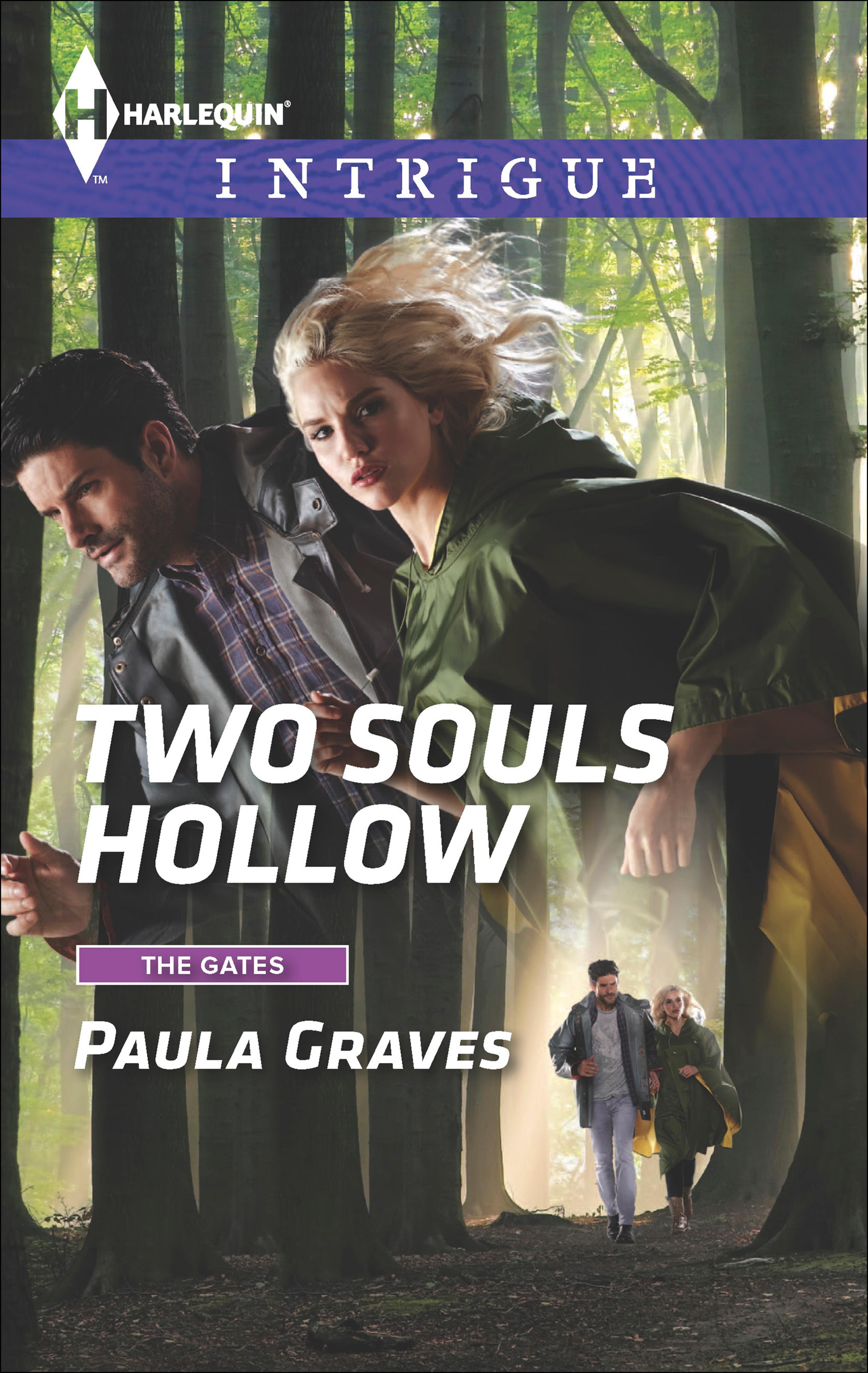 Cover image for Two Souls Hollow
