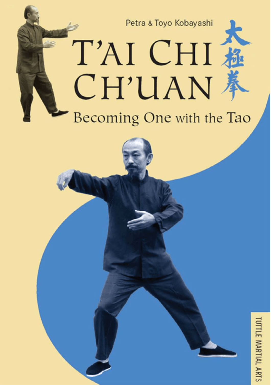 Cover image for T'ai Chi Ch'uan