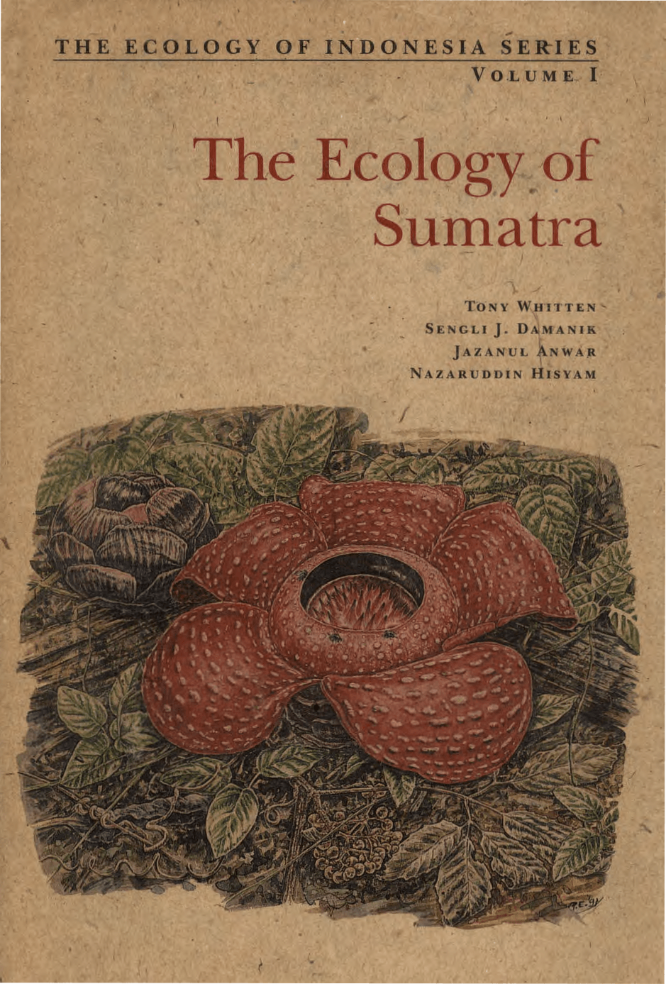 Cover image for Ecology of Sumatra