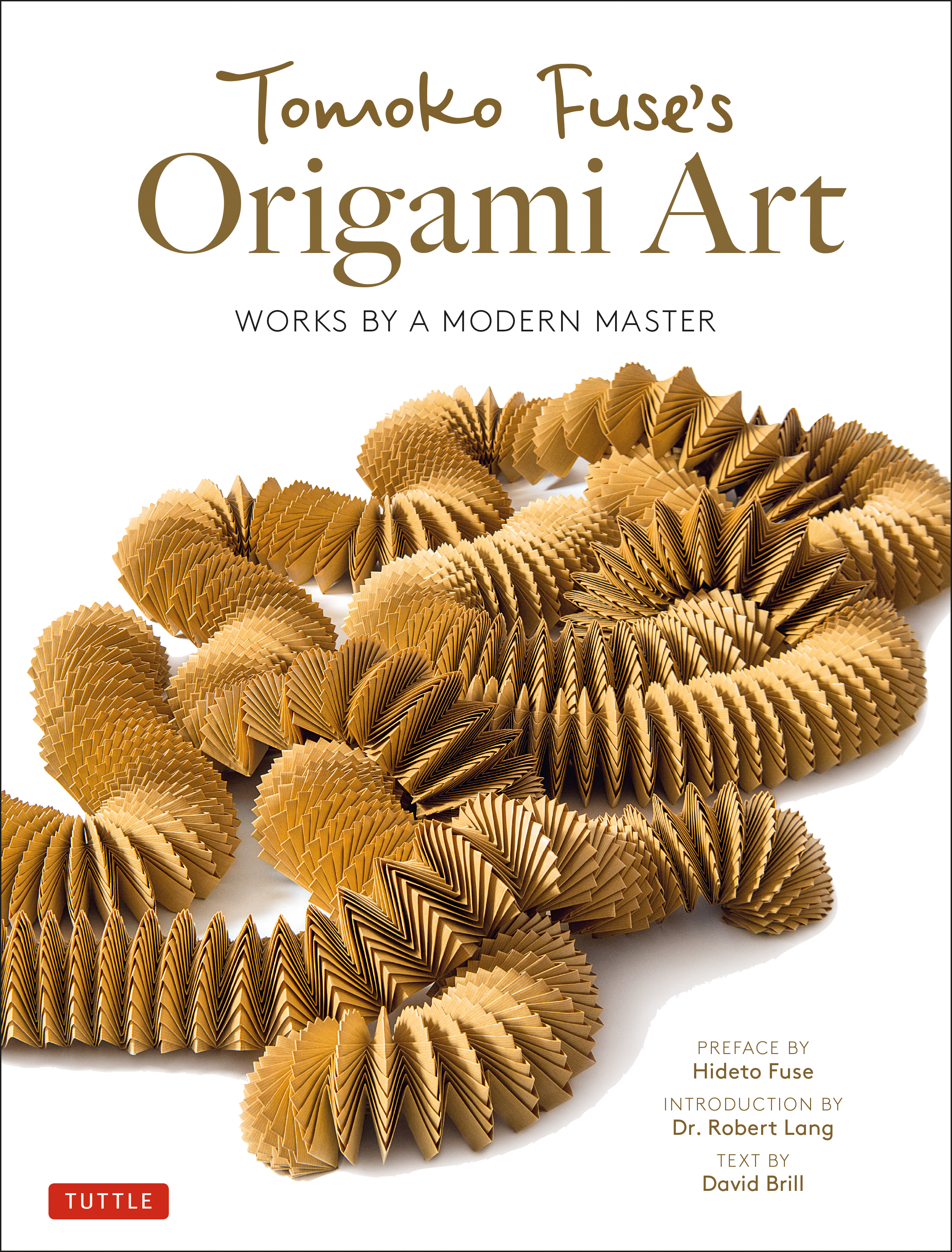 Geometric Origami eBook by Michael G. LaFosse - EPUB Book