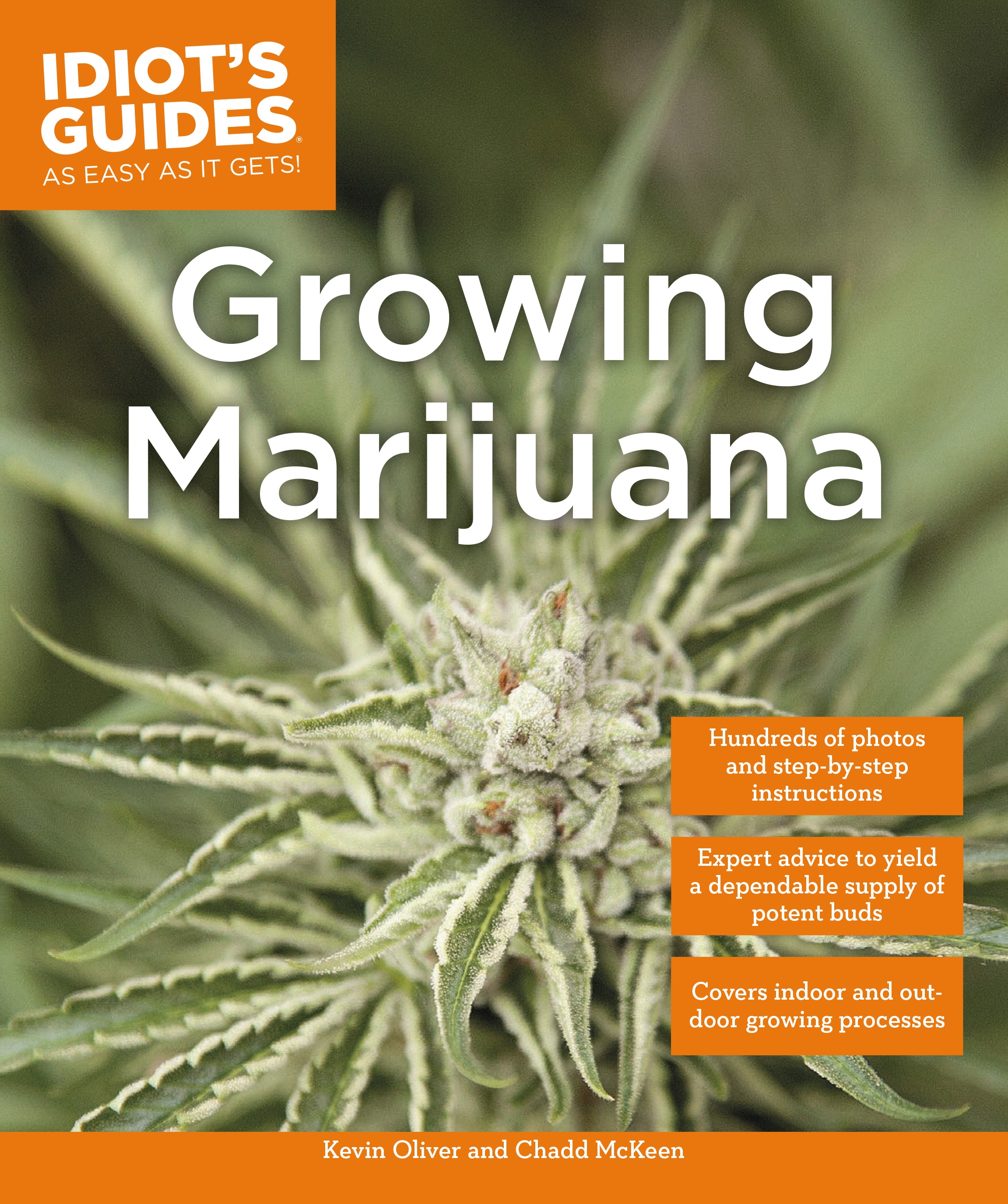 Beginners Guide to Growing Marijuana