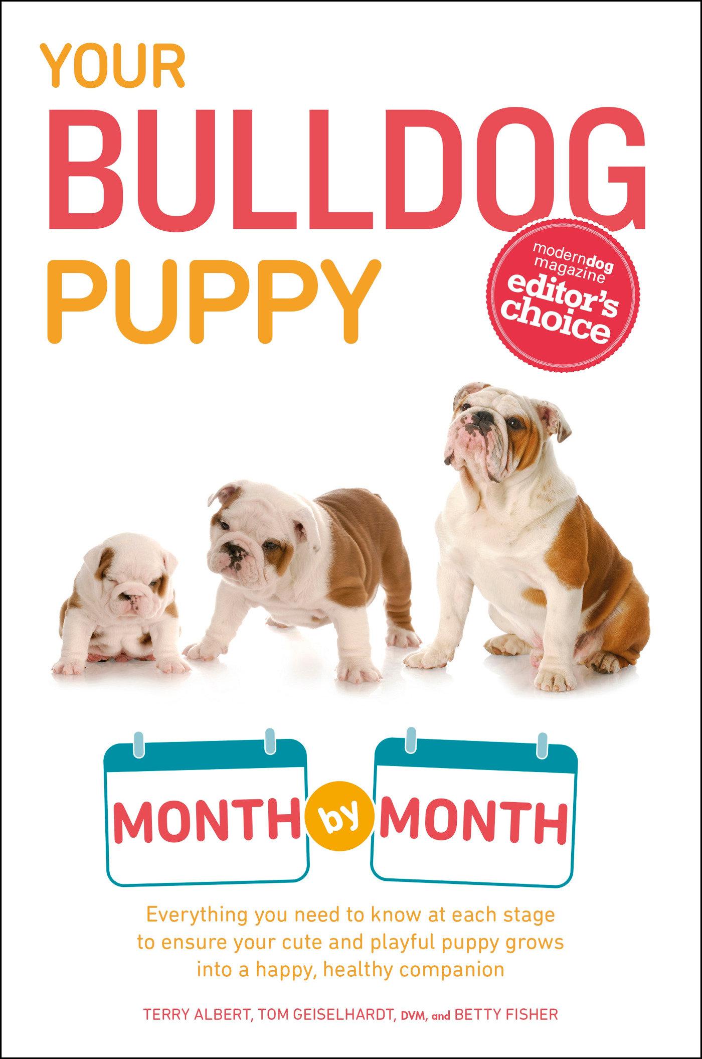 Cover image for Your Bulldog Puppy Month by Month