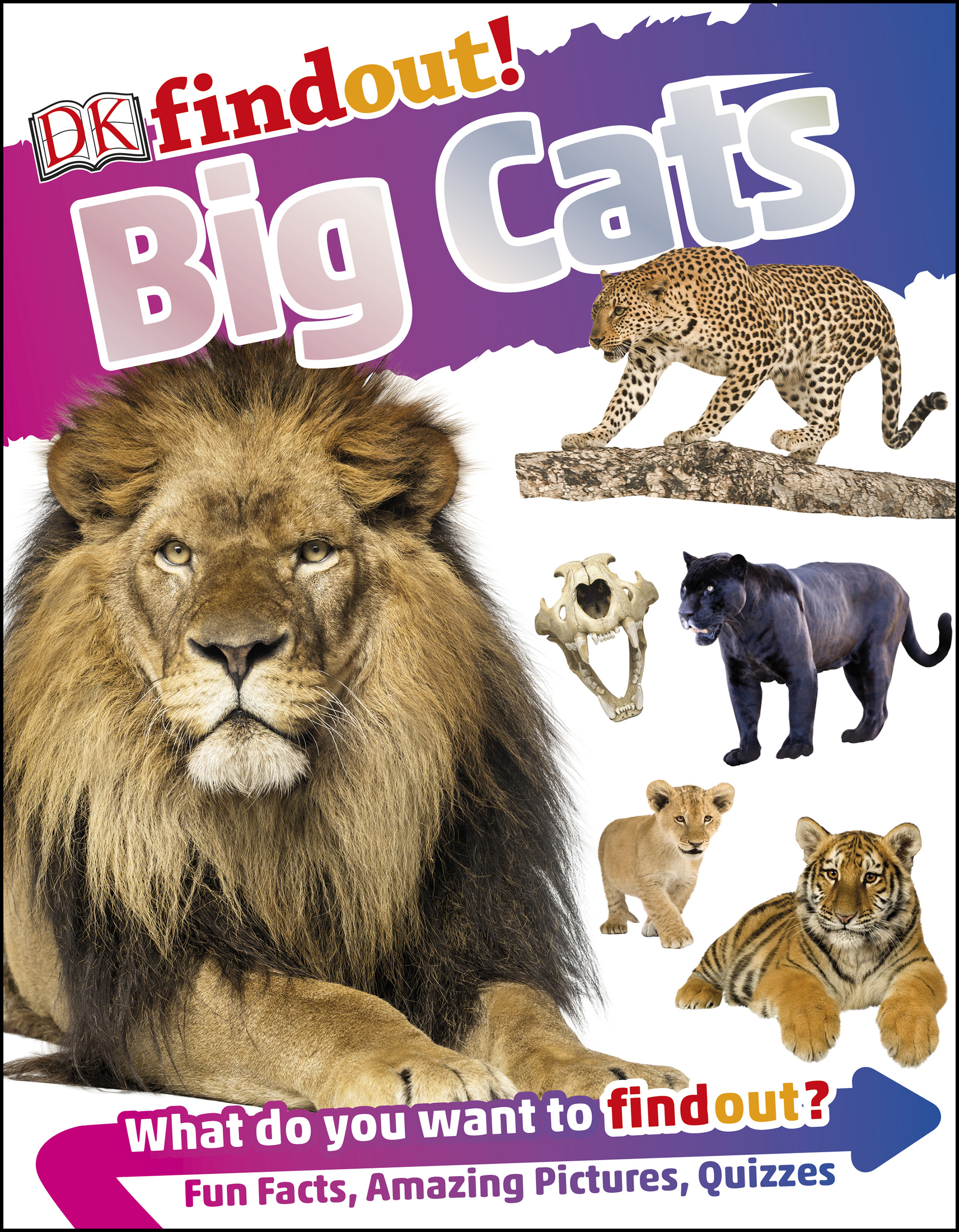 DKfindout! Big Cats by: DK - 9781465487421 | RedShelf