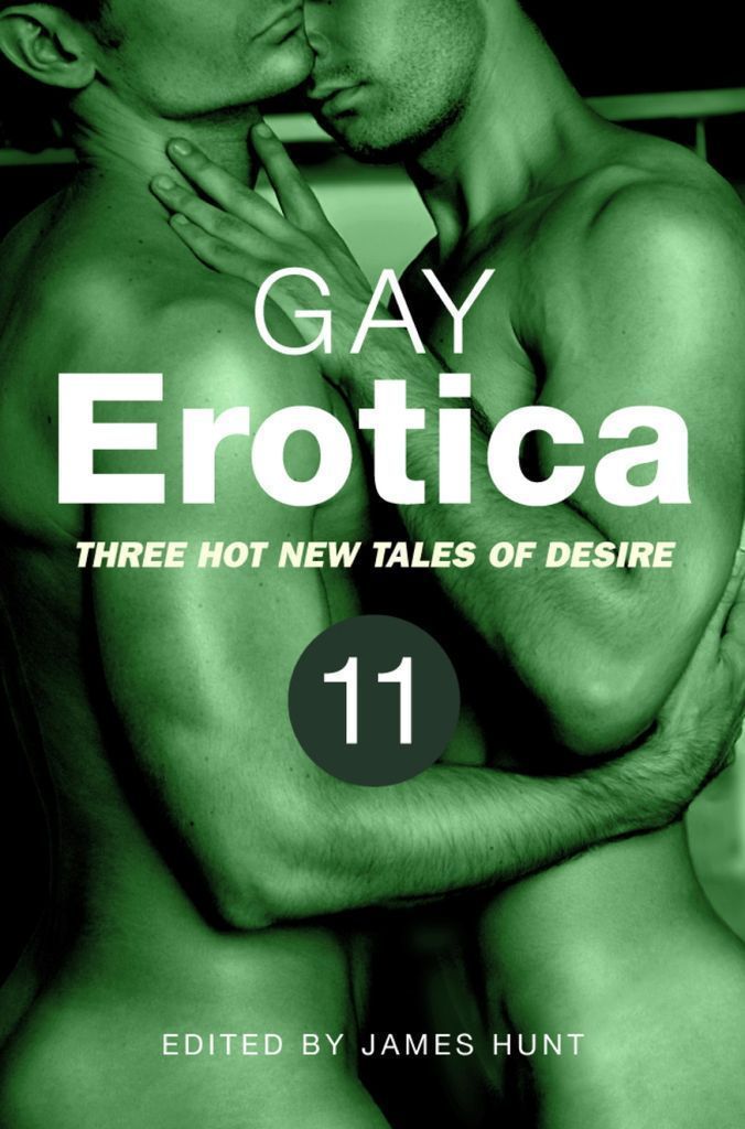 Cover image for Gay Erotica, Volume 11