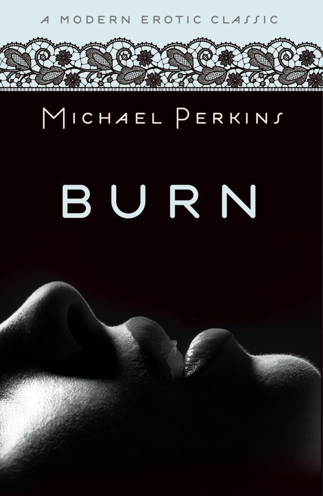 Cover image for Burn (Modern Erotic Classics)