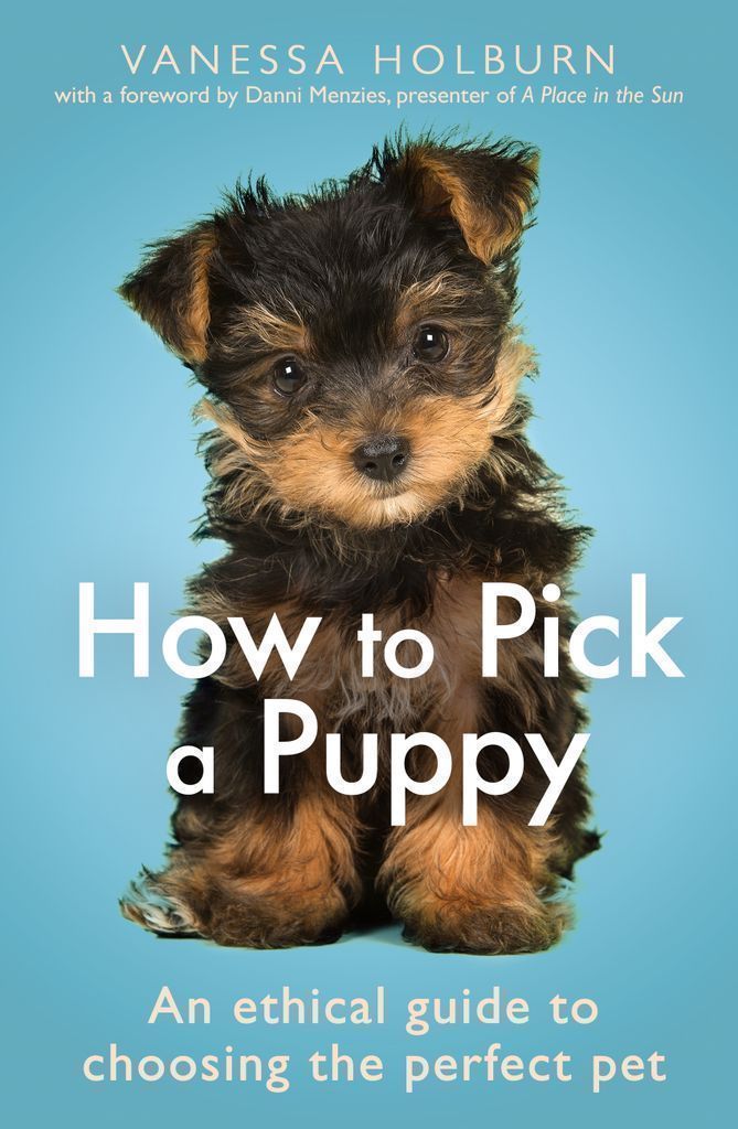 Cover image for How To Pick a Puppy