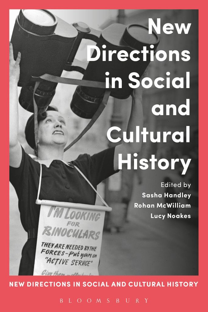 Cover image for New Directions in Social and Cultural History