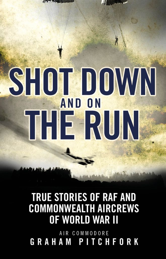Cover image for Shot Down and on the Run
