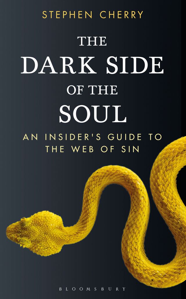 Cover image for The Dark Side of the Soul