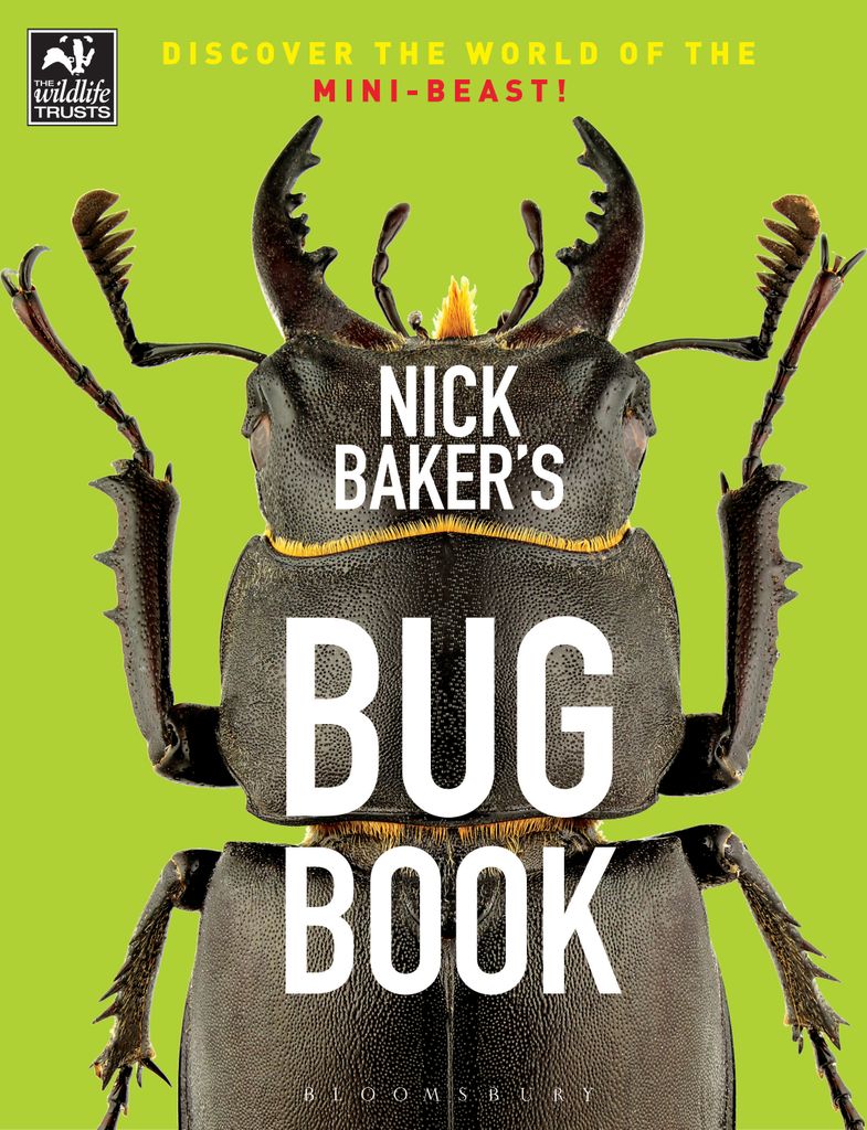 Cover image for Nick Baker's Bug Book