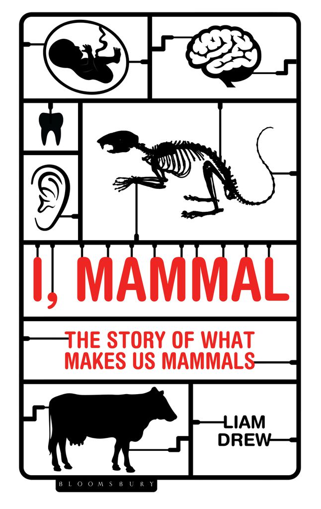 Cover image for I, Mammal