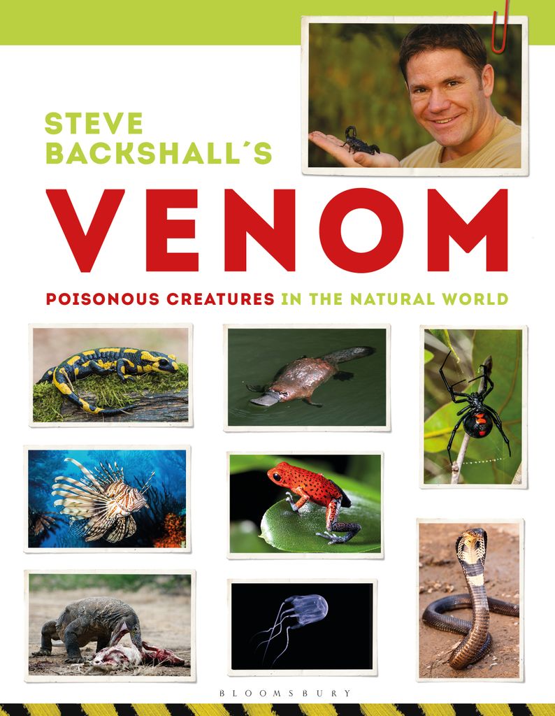 Cover image for Steve Backshall's Venom
