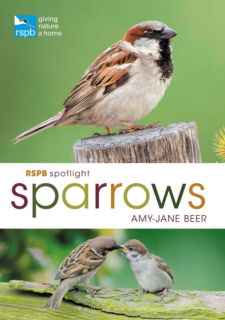 Cover image for RSPB Spotlight Sparrows