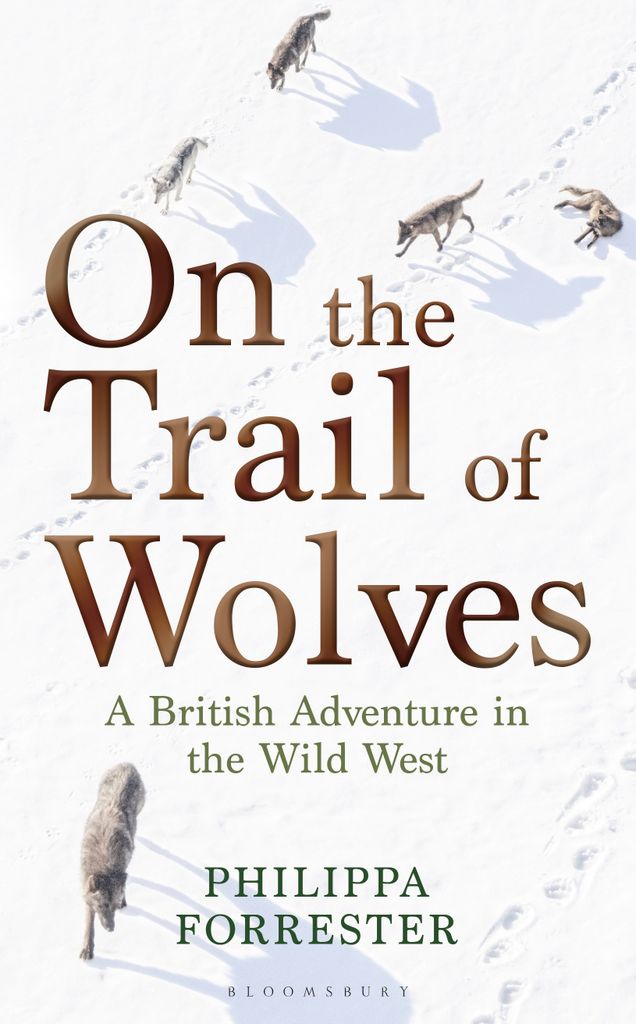Cover image for On the Trail of Wolves