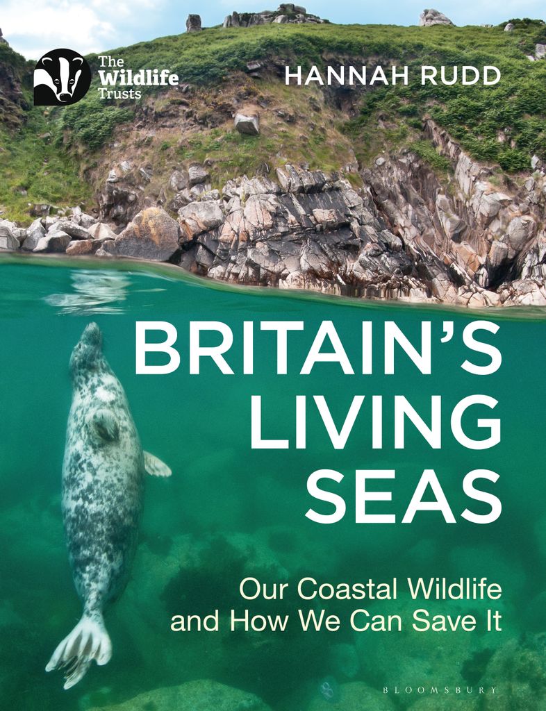Cover image for Britain's Living Seas
