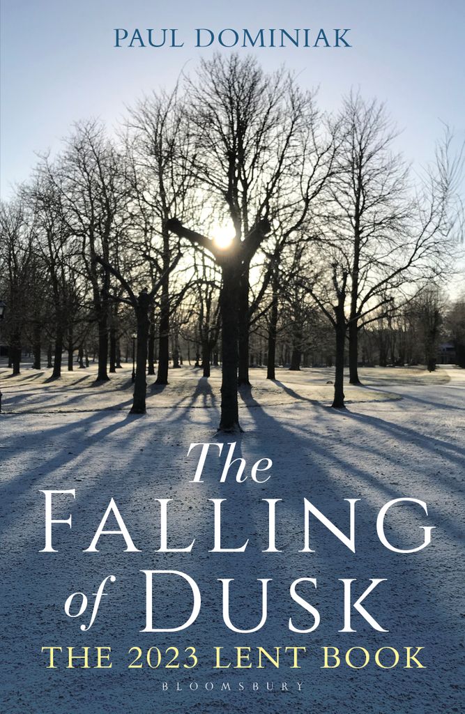 Cover image for The Falling of Dusk
