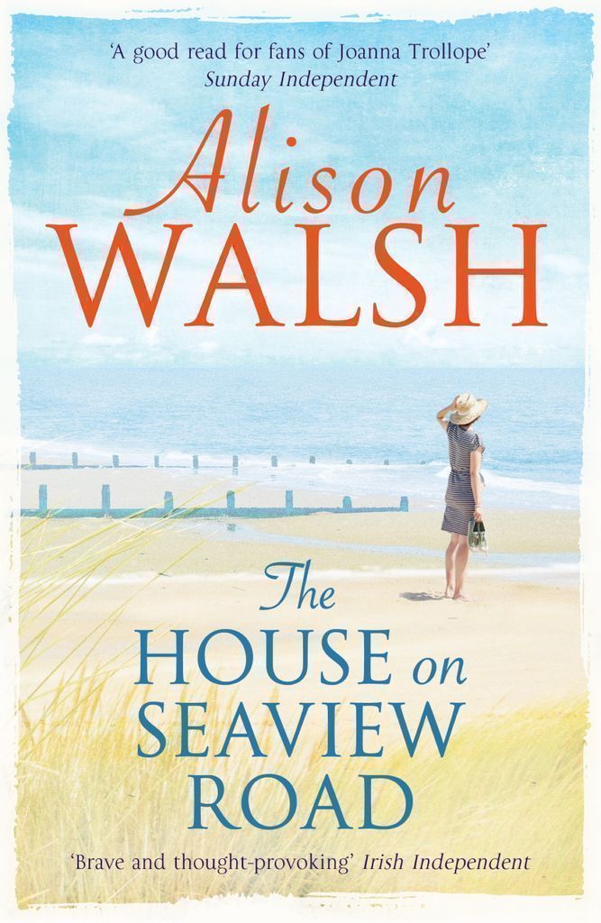 Cover image for The House on Seaview Road