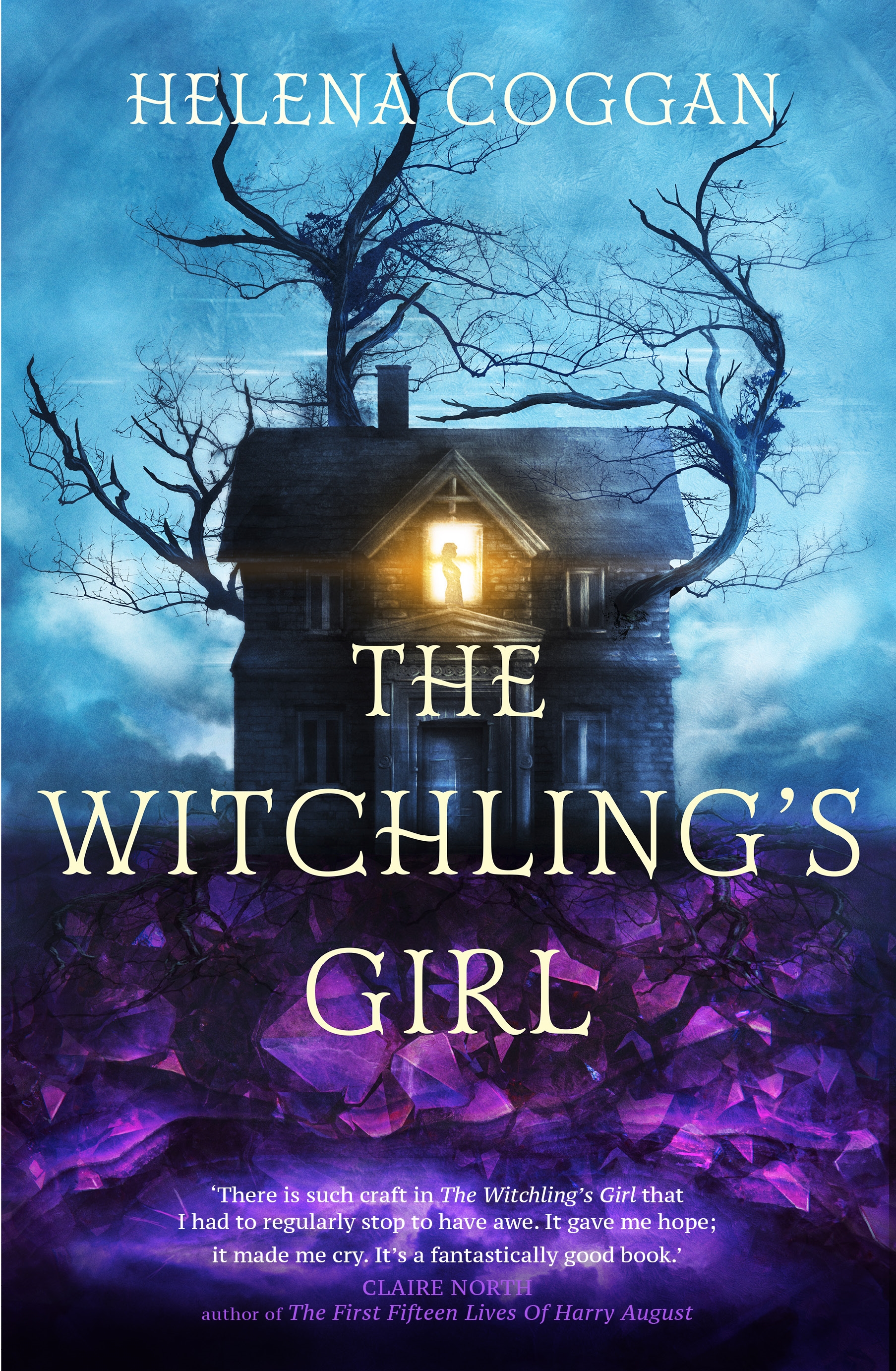 Cover image for The Witchling's Girl