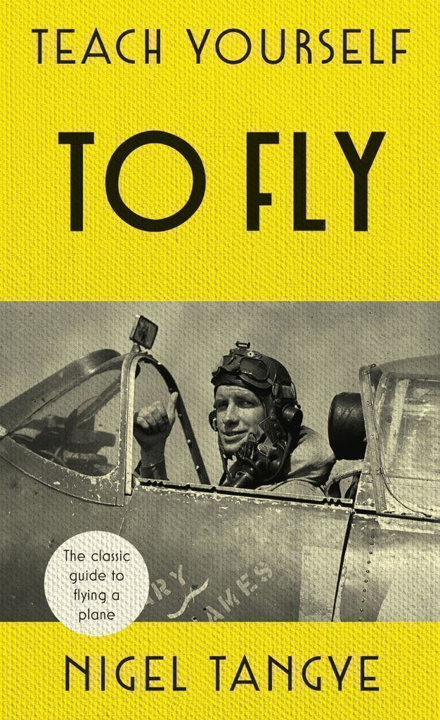 Cover image for Teach Yourself to Fly