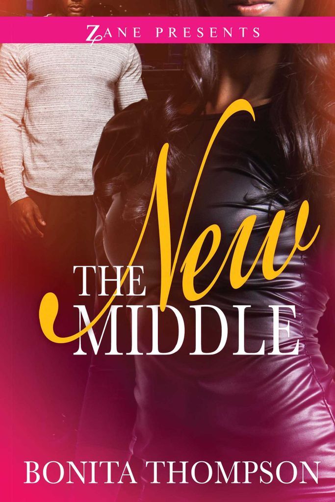 Cover image for The New Middle