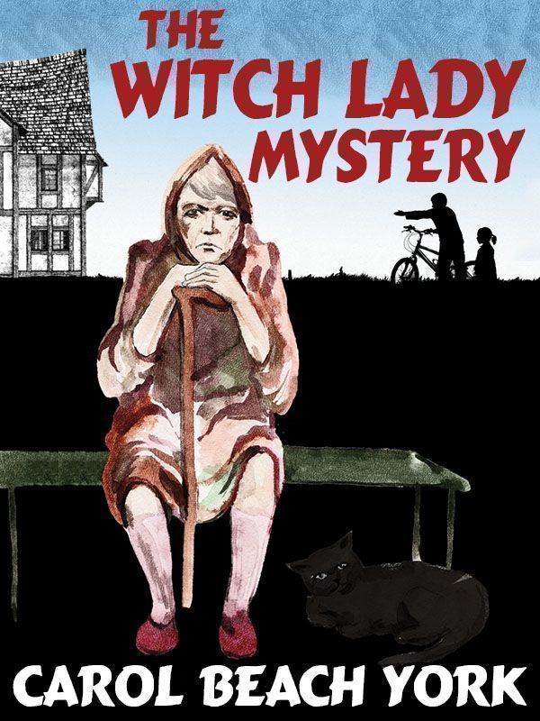 Cover image for The Witch Lady Mystery