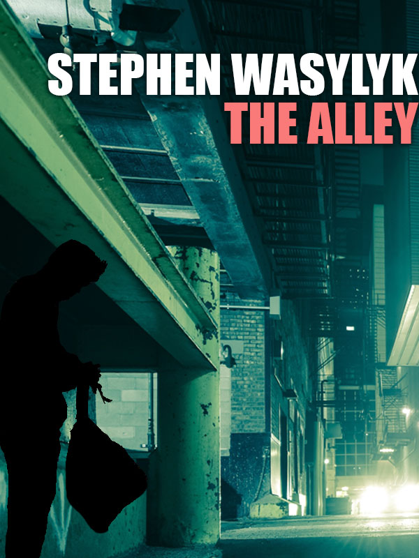 Cover image for The Alley