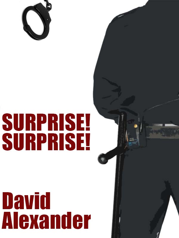 Cover image for Surprise! Surprise!