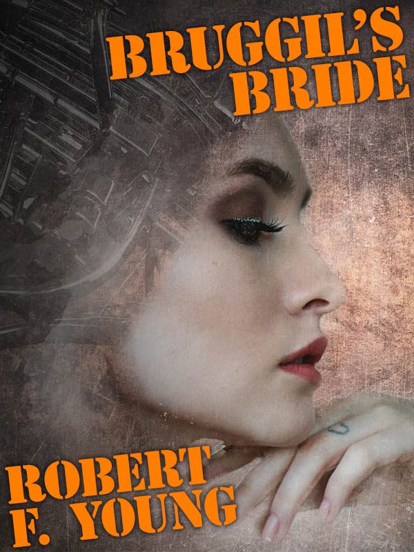 Cover image for Bruggil's Bride