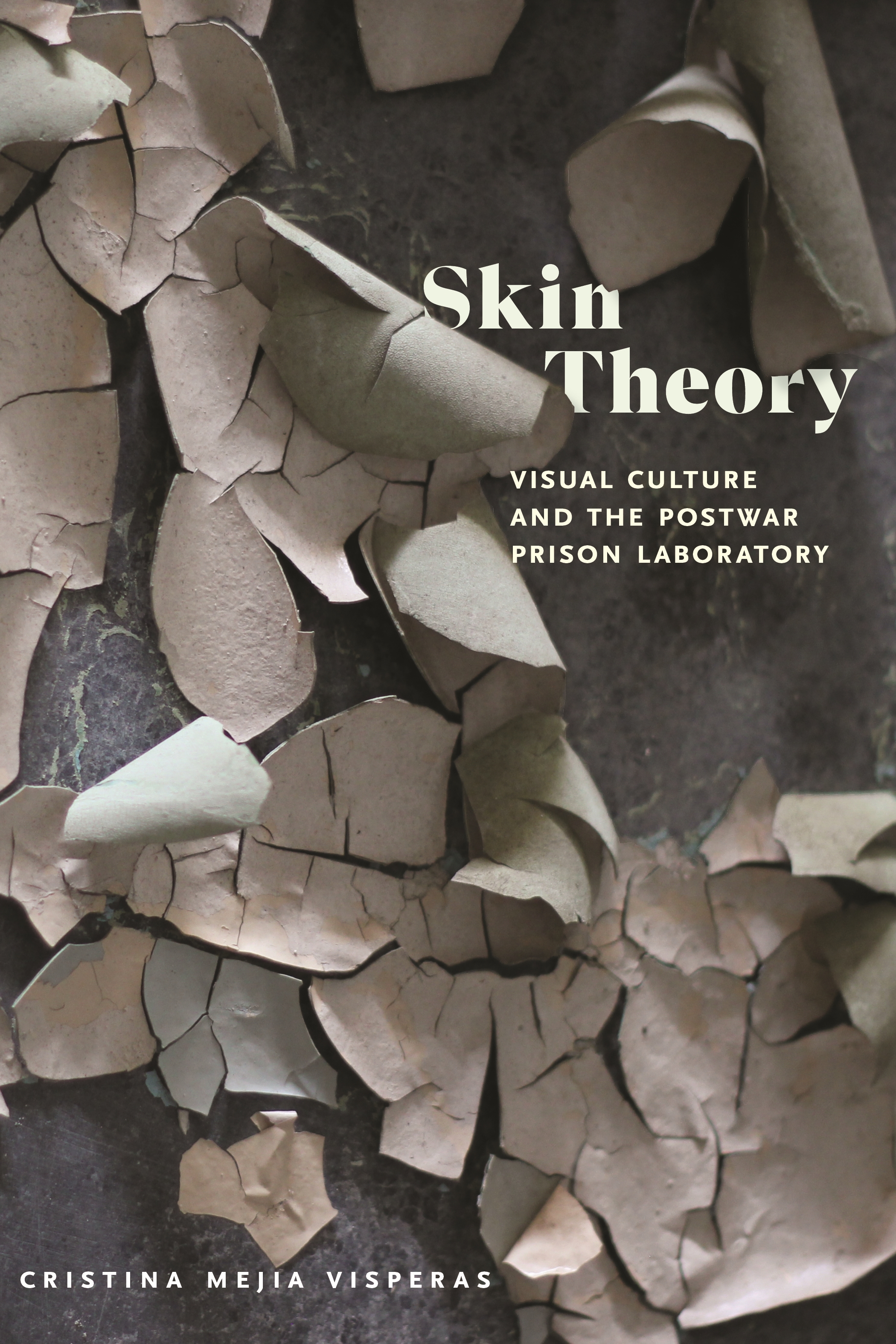 Cover image for Skin Theory