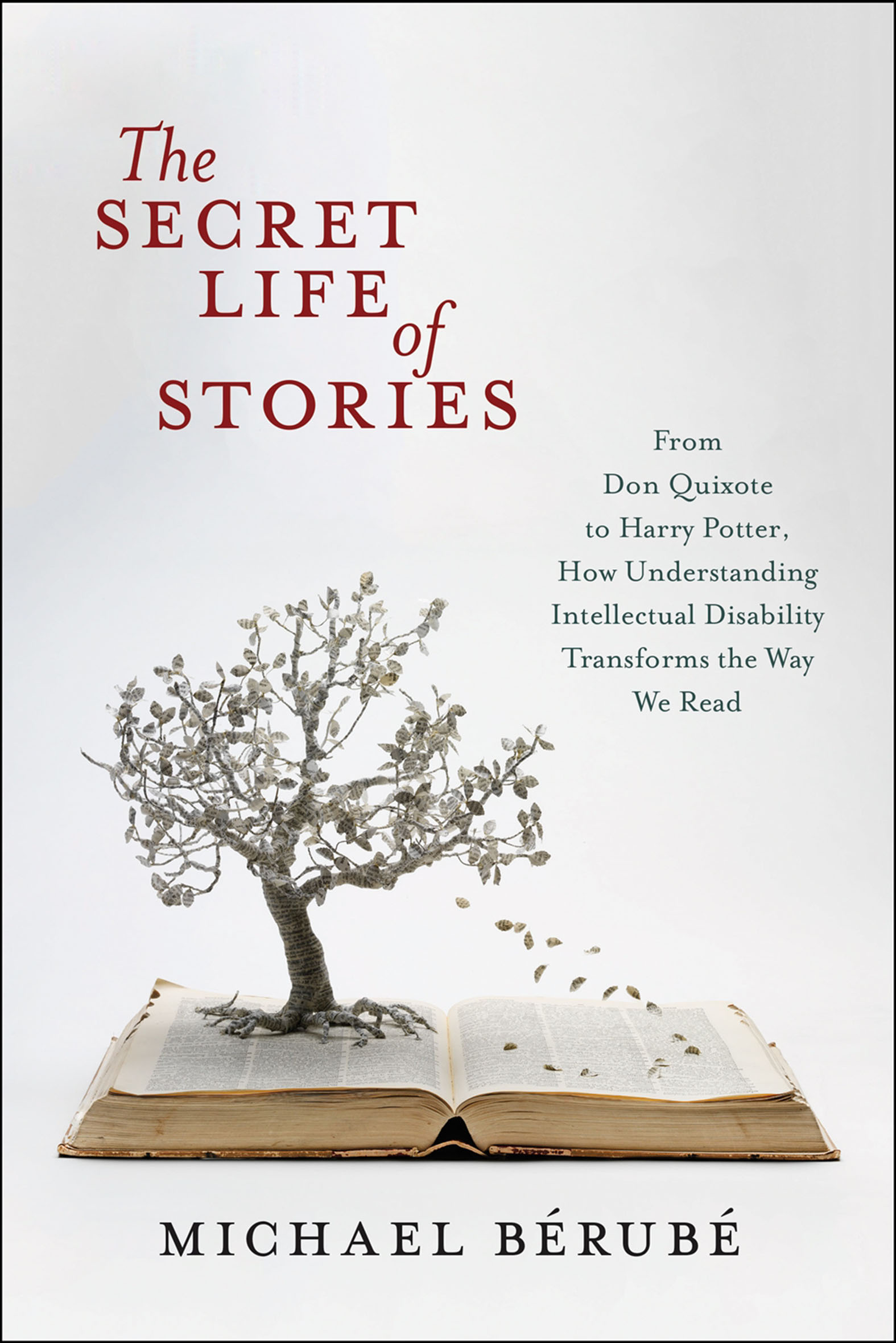 Cover image for The Secret Life of Stories