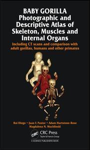 Cover image for Baby Gorilla