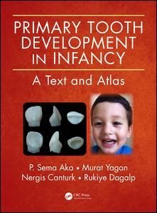 Cover image for Primary Tooth Development in Infancy