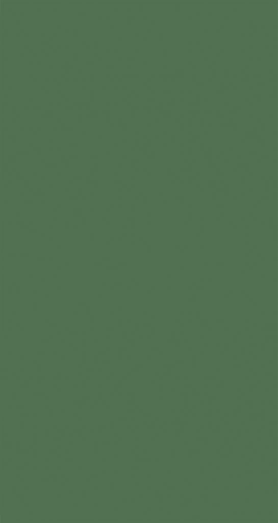 Cover image for Dental Anthropology