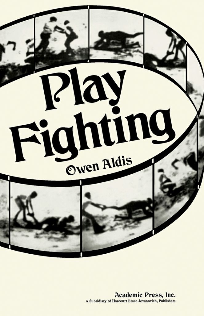 Cover image for Play Fighting