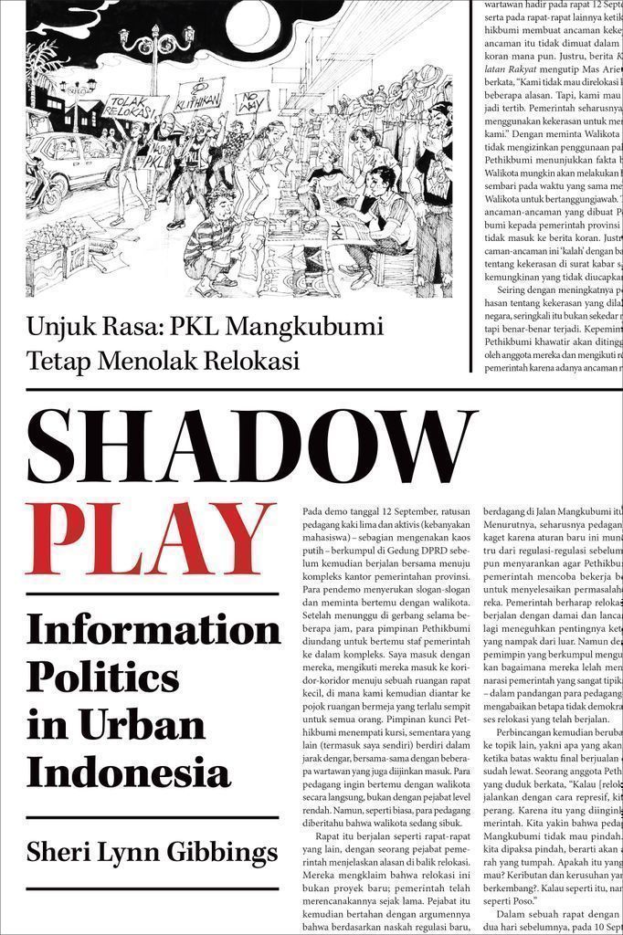 Cover image for Shadow Play