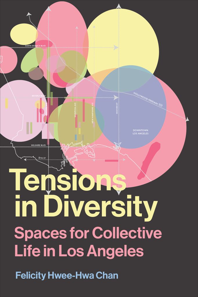 Cover image for Tensions in Diversity