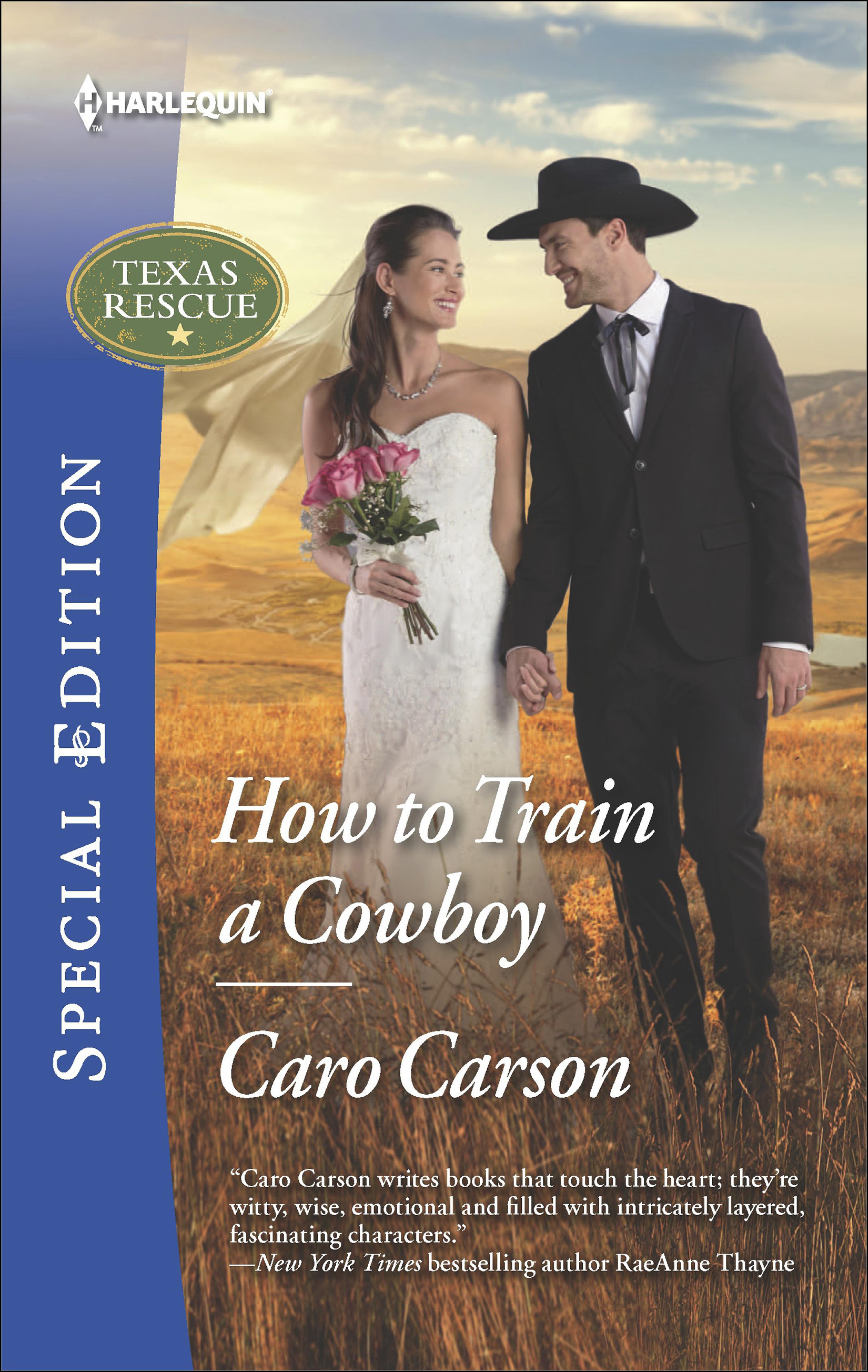 Cover image for How to Train a Cowboy