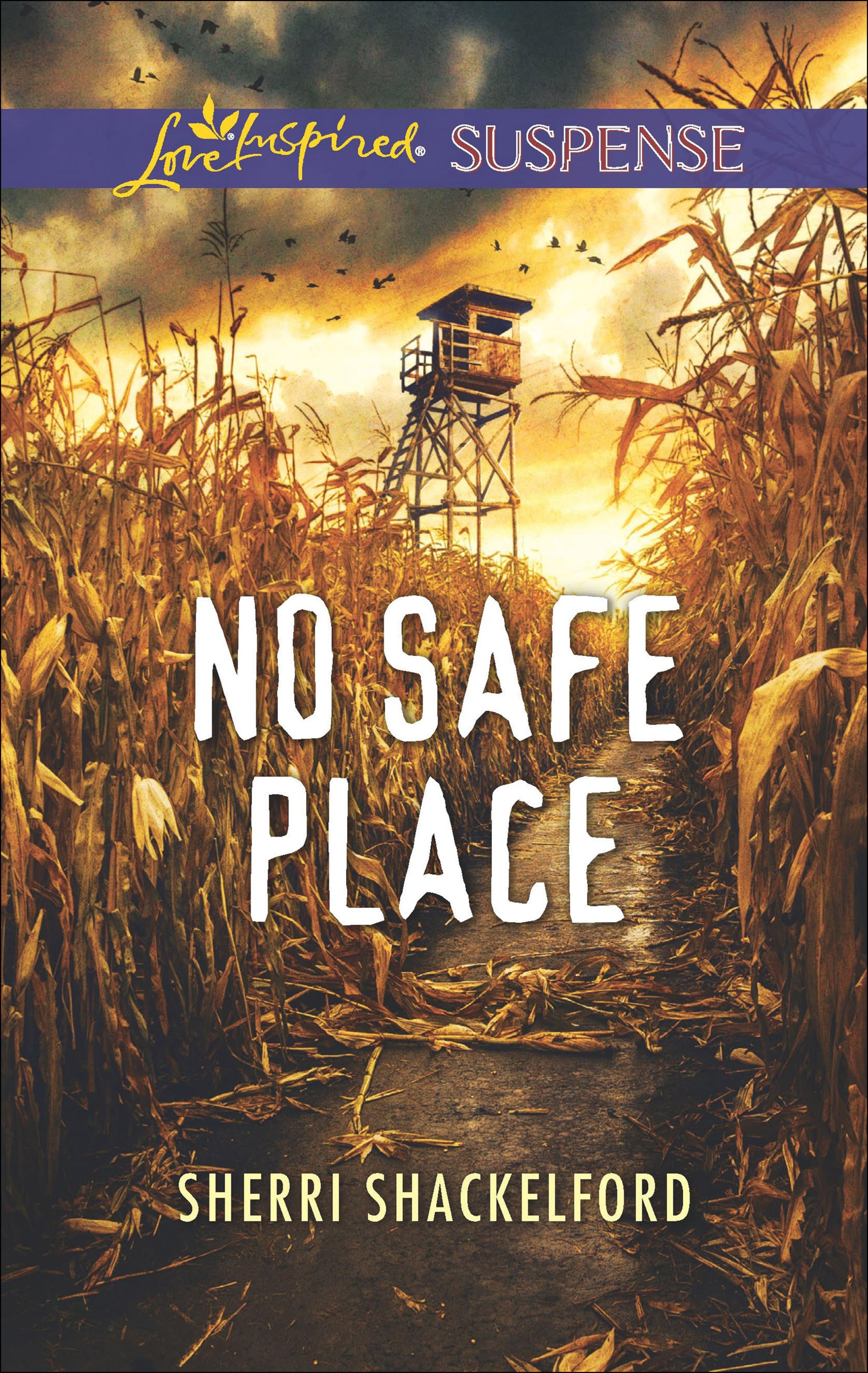 Cover image for No Safe Place