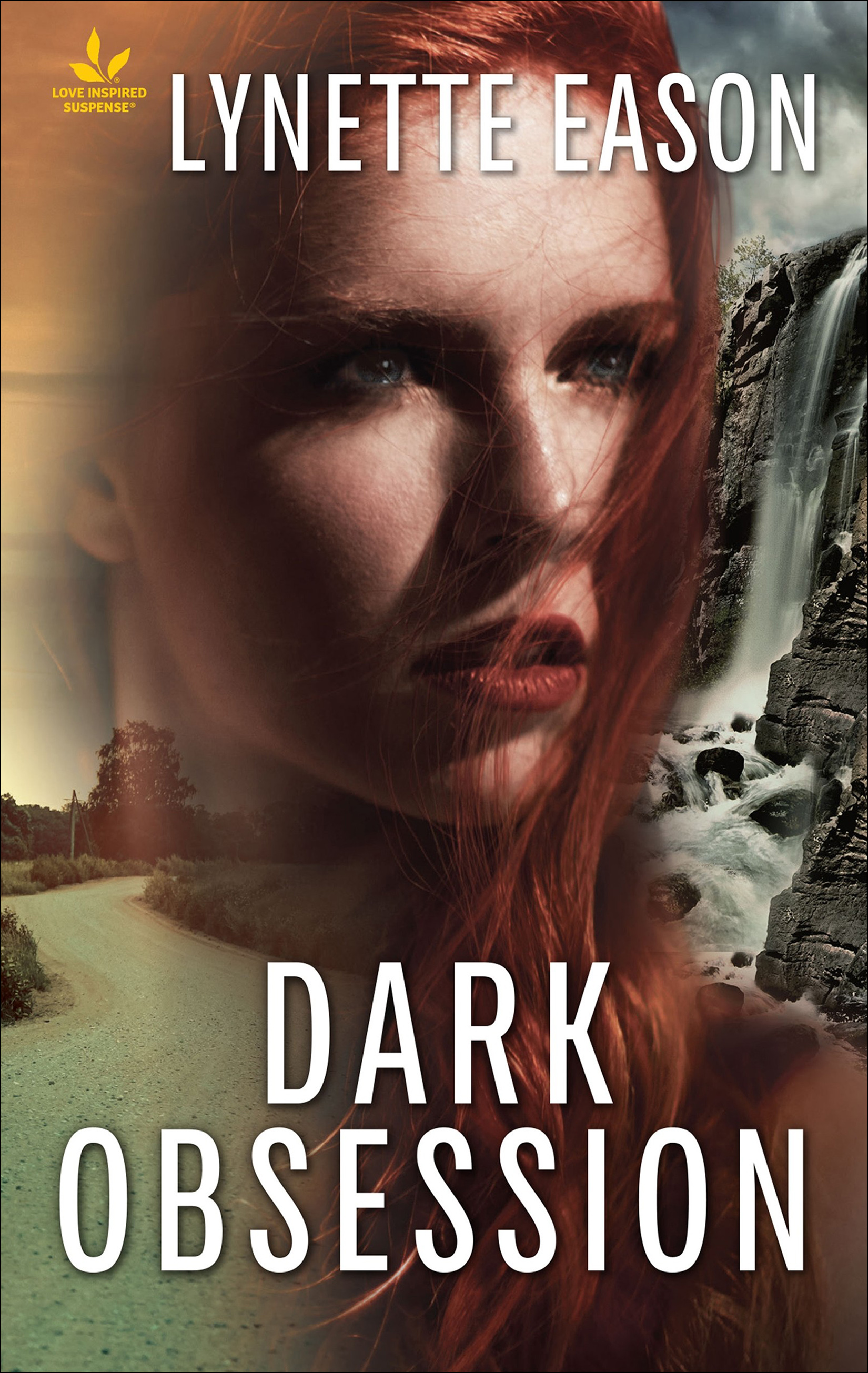Cover image for Dark Obsession