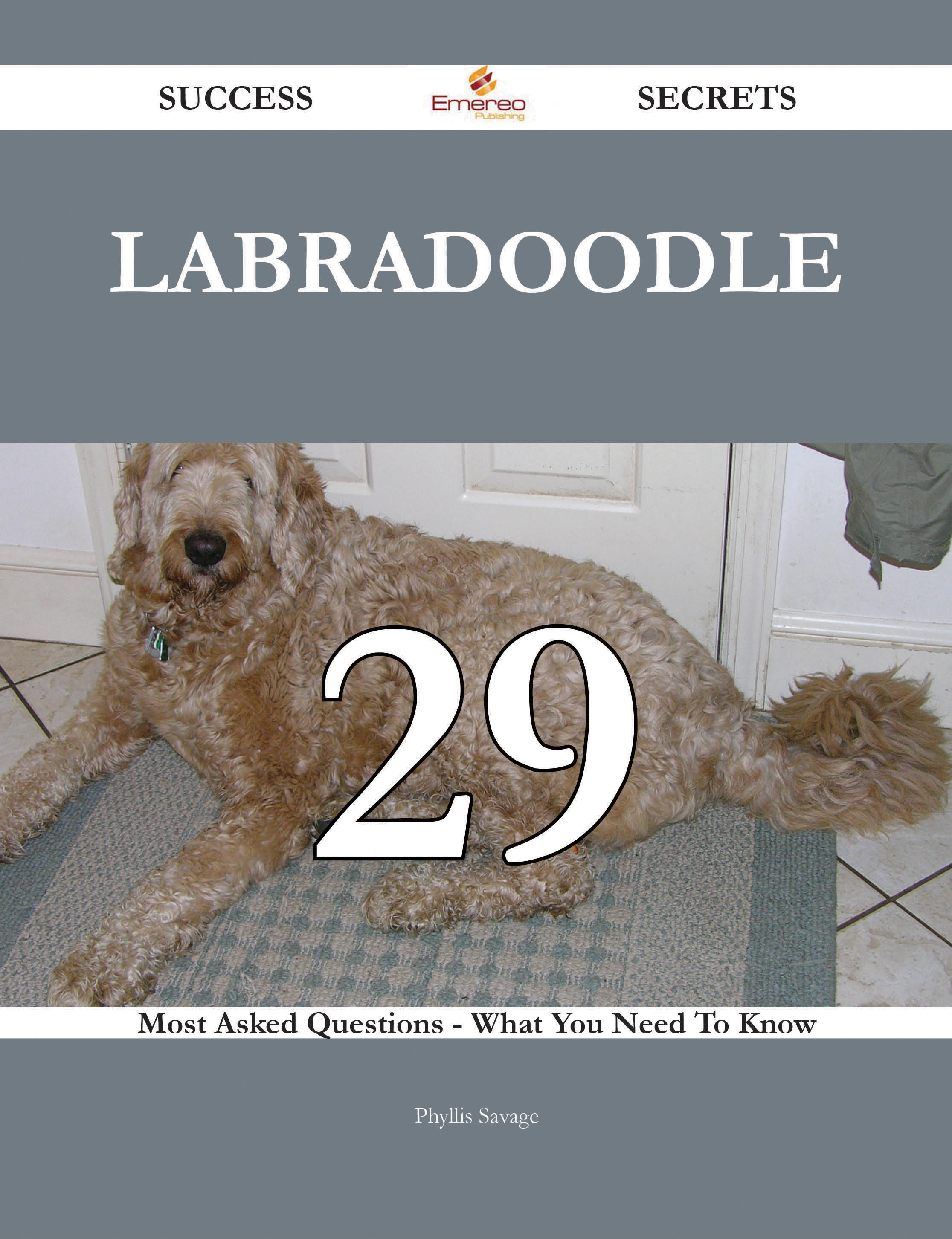 Labradoodle 29 Success Secrets - 29 Most Asked Questions On Labradoodle - What You Need To Know