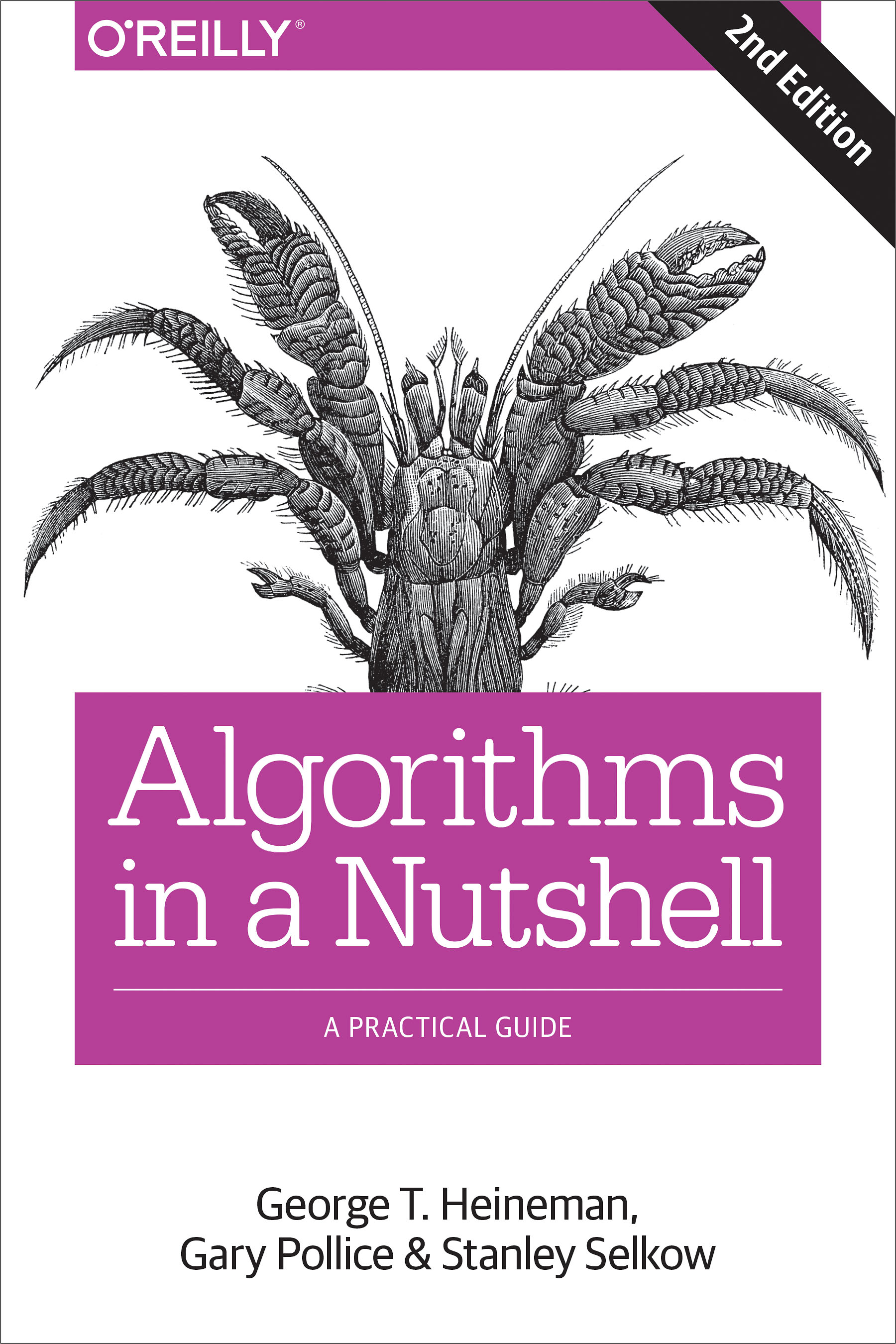 Cover image for Algorithms in a Nutshell