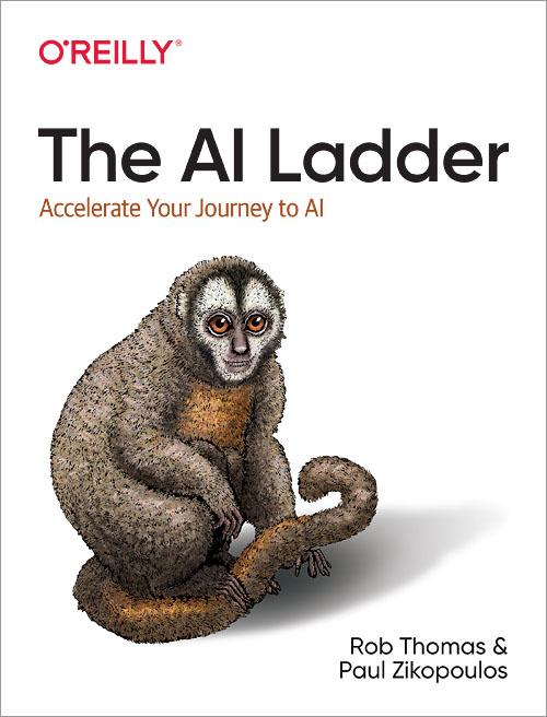 Cover image for The AI Ladder