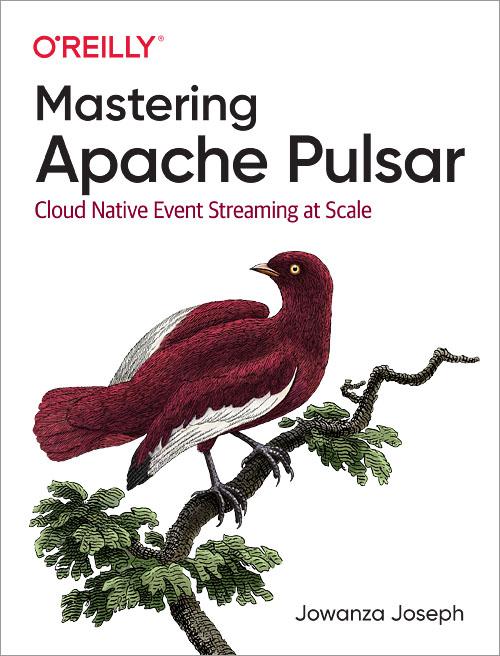 Cover image for Mastering Apache Pulsar