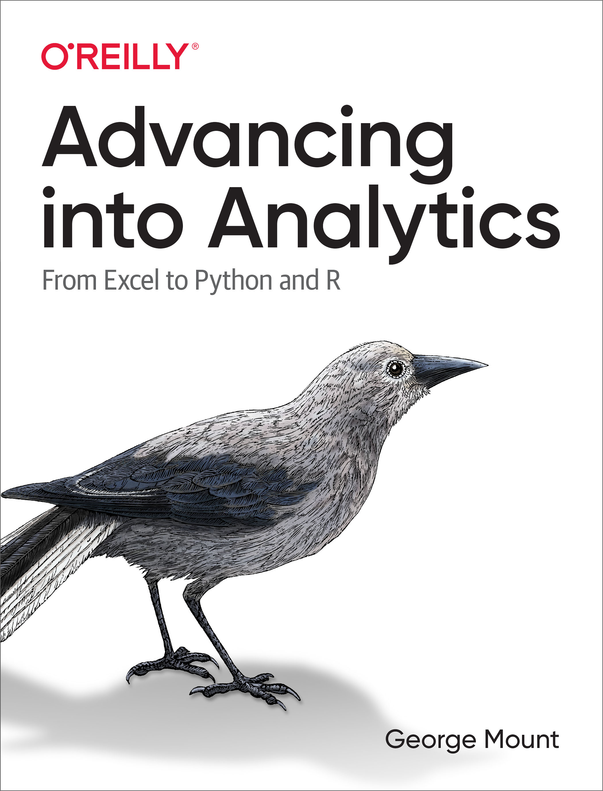 Cover image for Advancing into Analytics