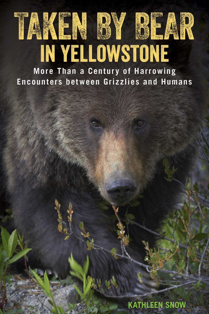 Cover image for Taken by Bear in Yellowstone