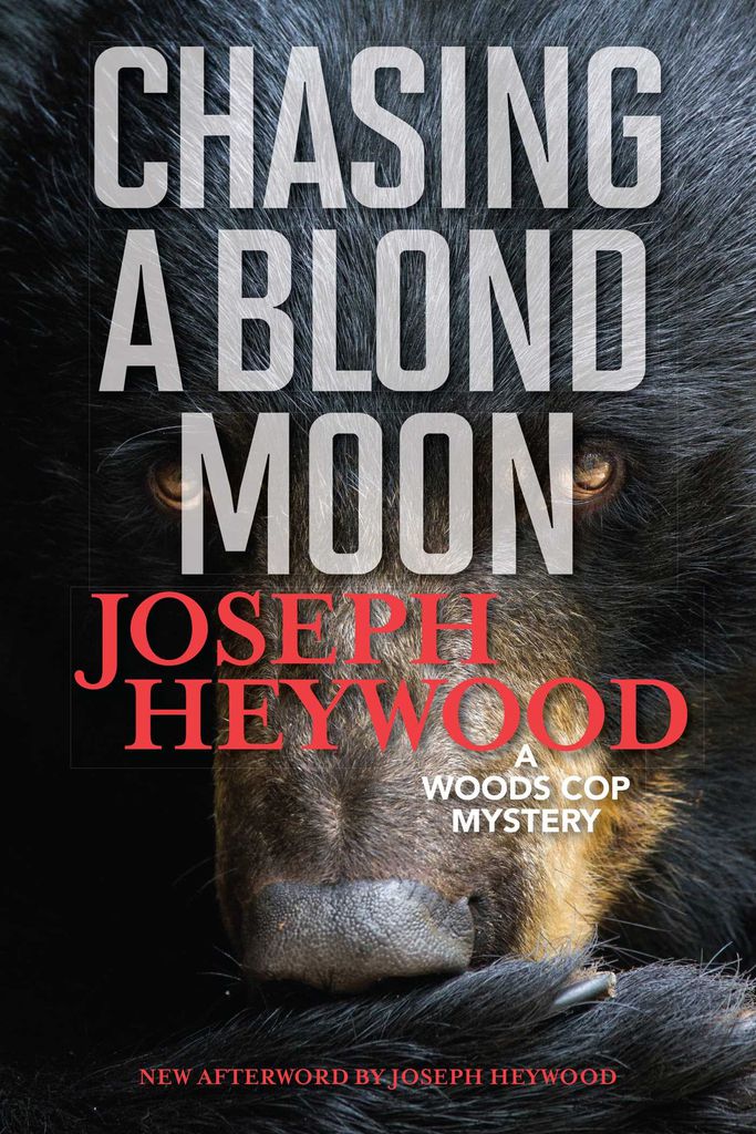 Cover image for Chasing a Blond Moon