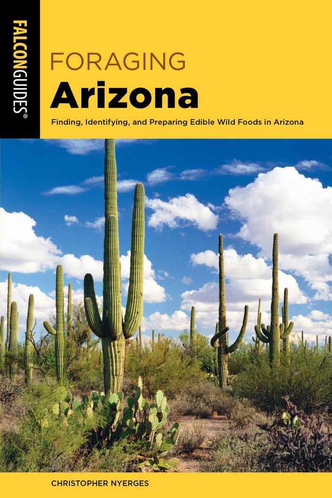 Cover image for Foraging Arizona