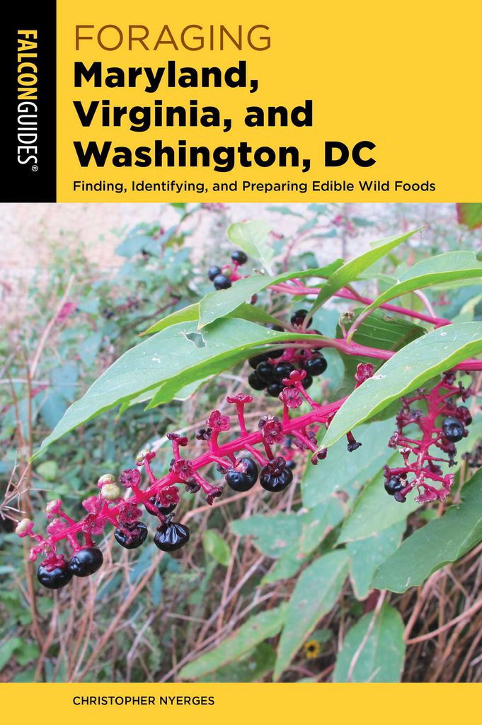 Cover image for Foraging Maryland, Virginia, and Washington, DC