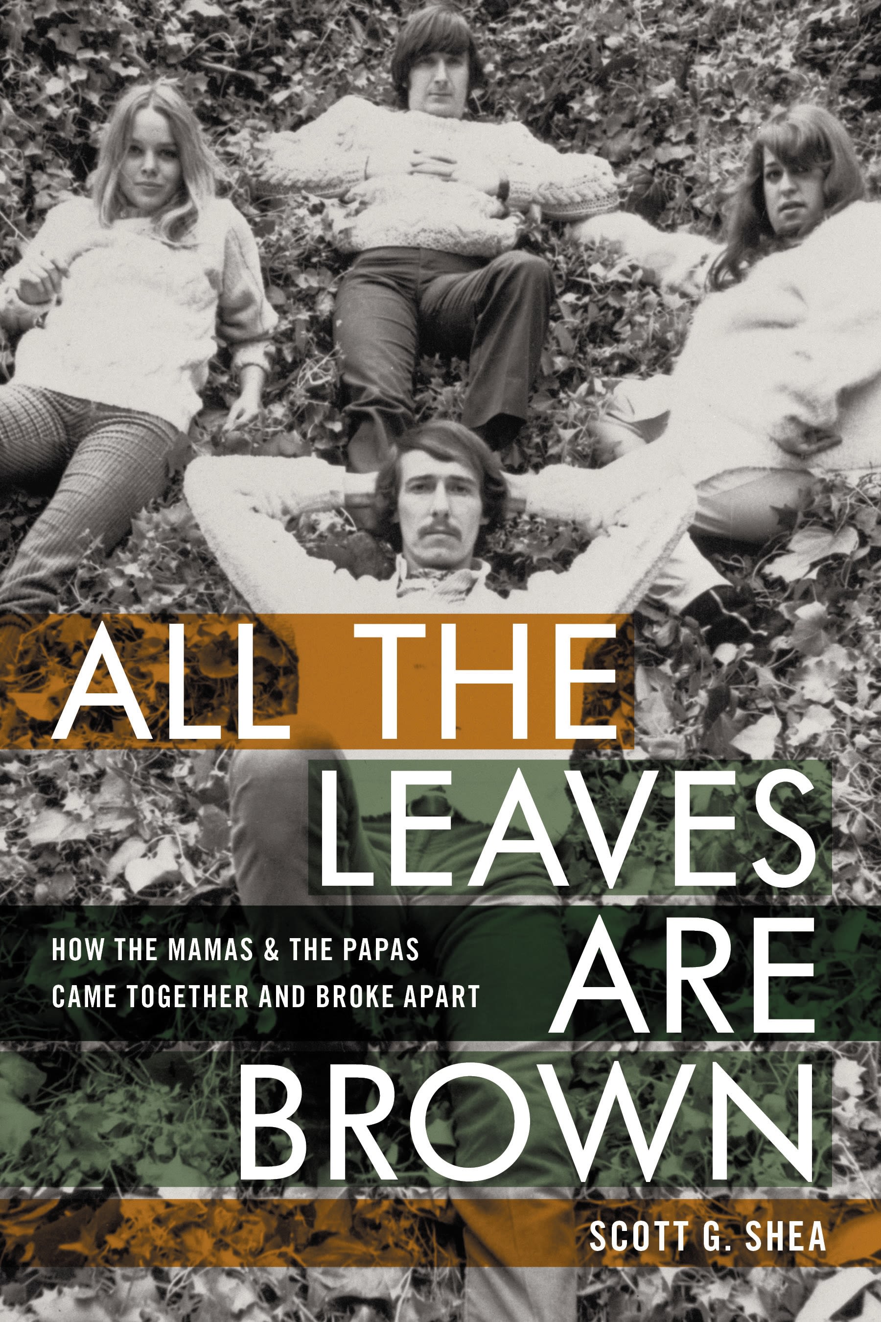 Cover image for All the Leaves Are Brown